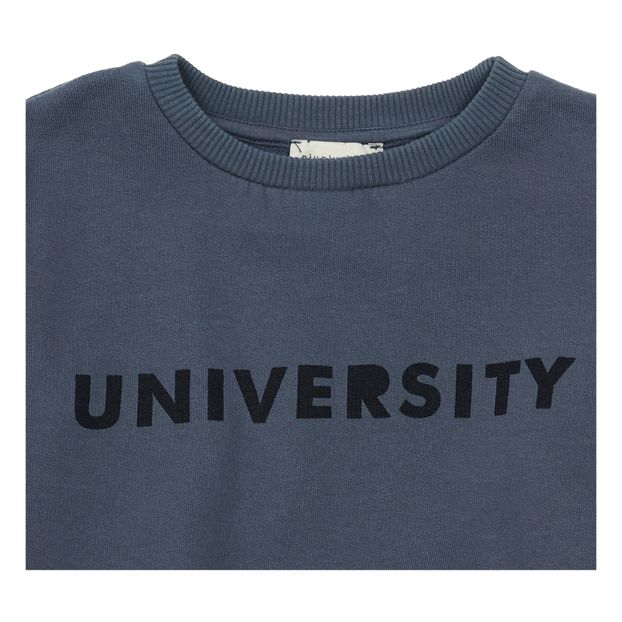 University Organic Cotton with Polar Fleece Interior Sweatshirt-product