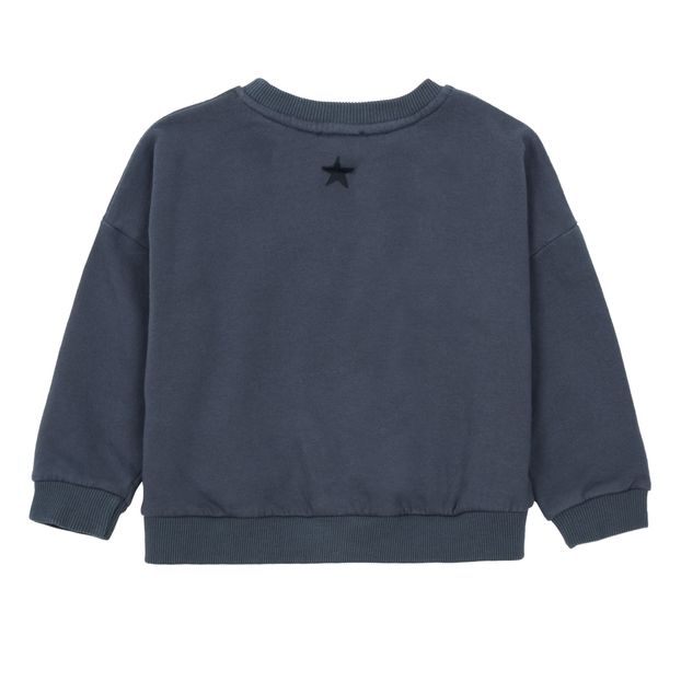 University Organic Cotton with Polar Fleece Interior Sweatshirt-product