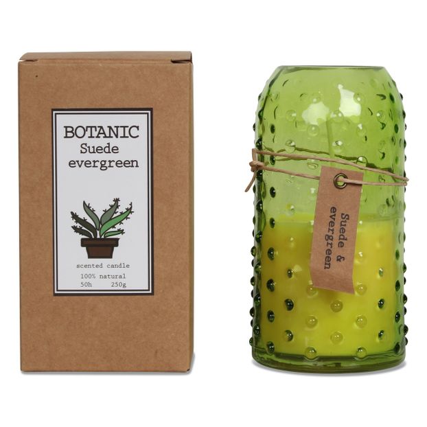 Vela Botanic pino sueco-product