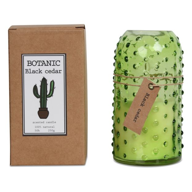 Vela Botanic cedro negro-product