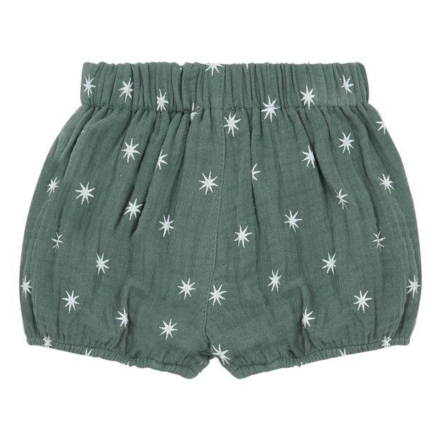 Bloomer Northern Star-product