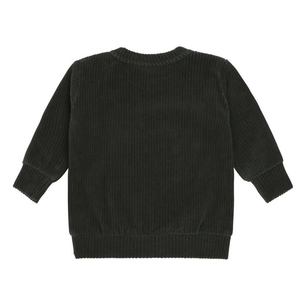 Buzz Ribbed Sweatshirt-product