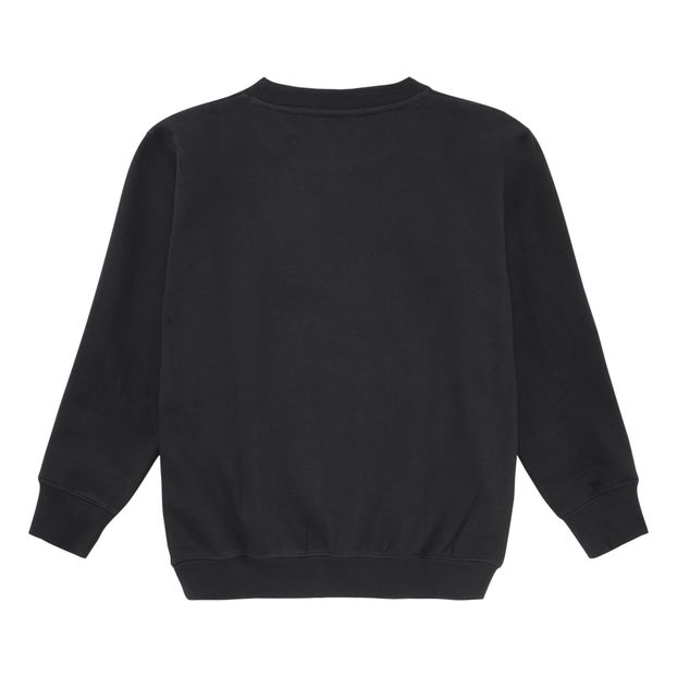 Sweat Baptiste Broderie Animaux-product