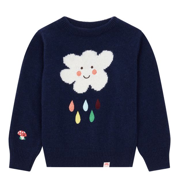 Pull Meteo Cachemire et Laine-product