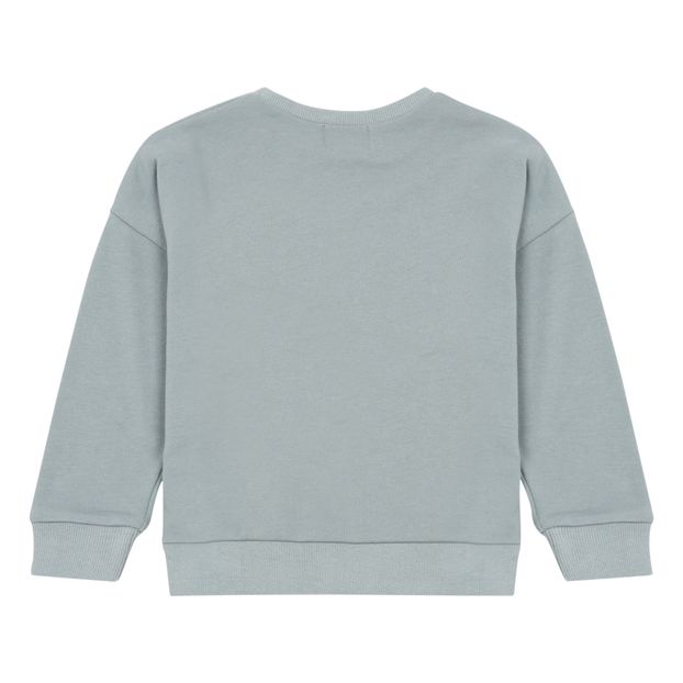 Sweat Montagnes-product
