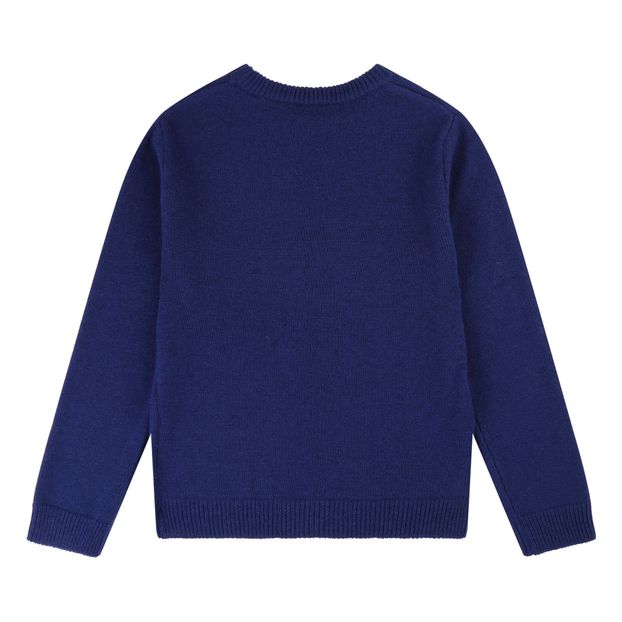 Rock Wool Cashmere Jumper-product