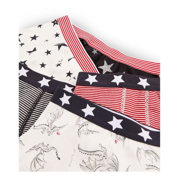 Dragon Boxers - Set of 5-product