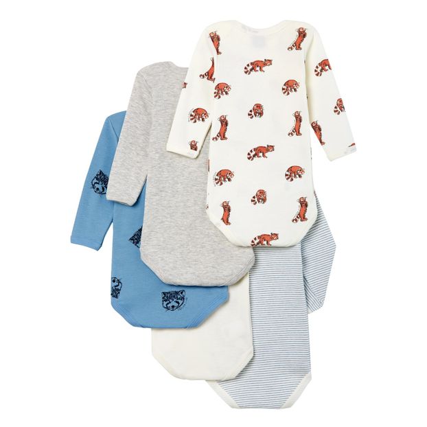 Lot de 5 Bodies Pandaroux-product