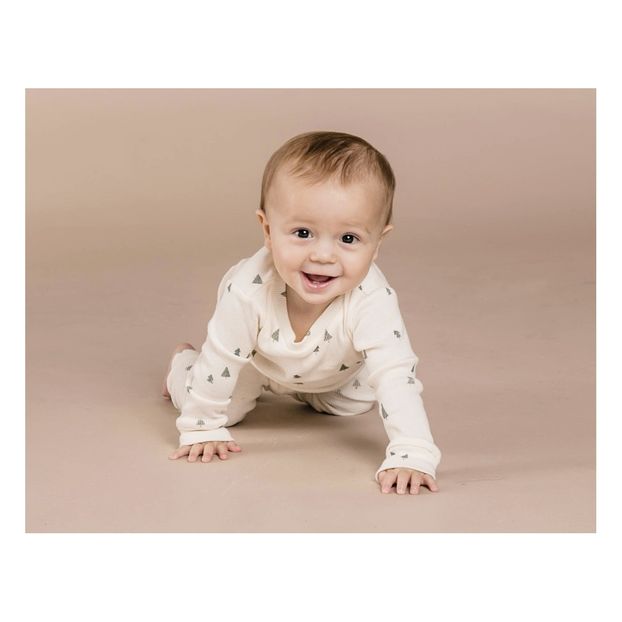 Sweat Trees Relaxed Molleton Gratté-product