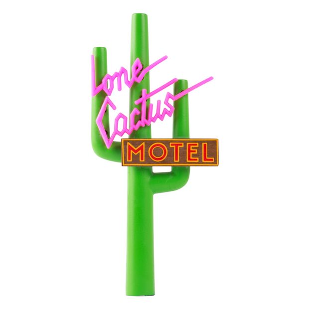 Catus in legno-product