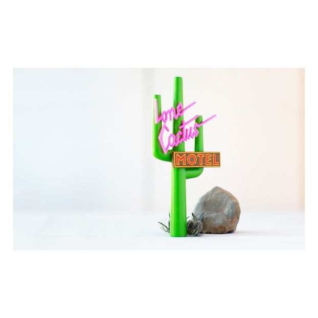 Catus in legno-product