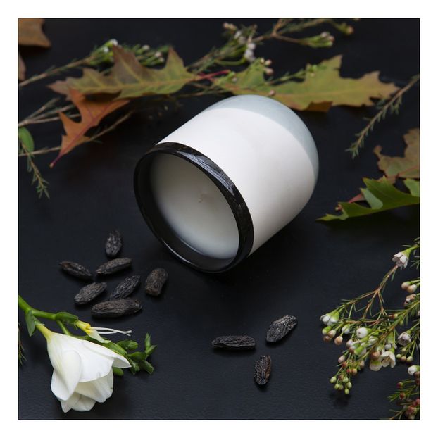 Bac Candle - Blackcurrant Wood -product