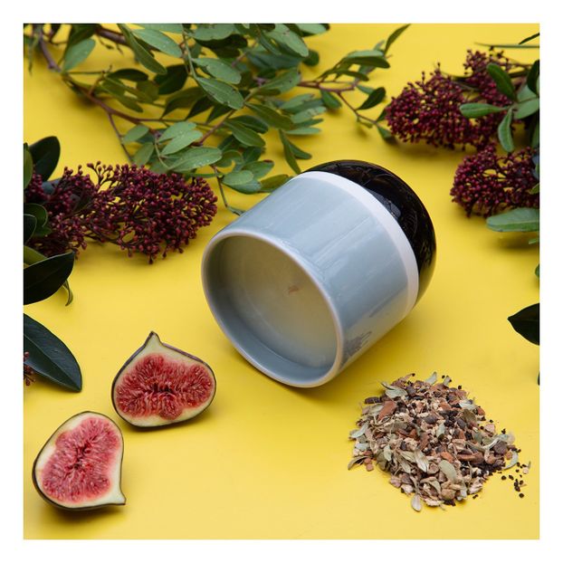 Candela Quinconces - Jasmin-product