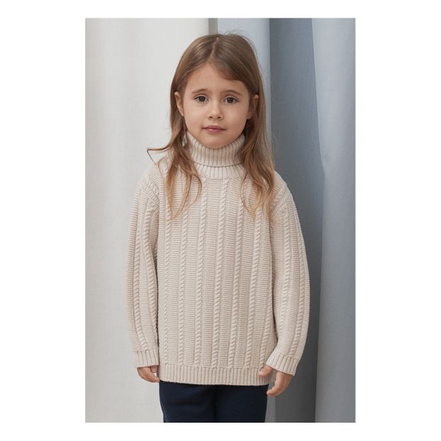 Pull Laine Col Roulé Oversize-product