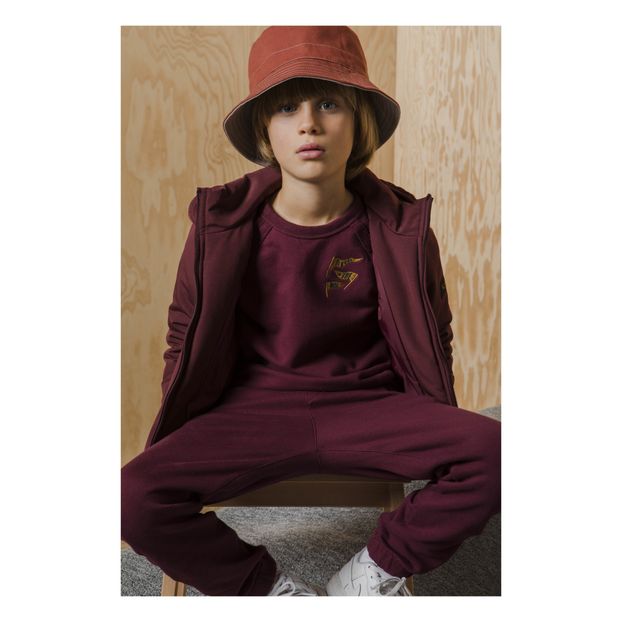 Sweat Drapeaux Hank-product