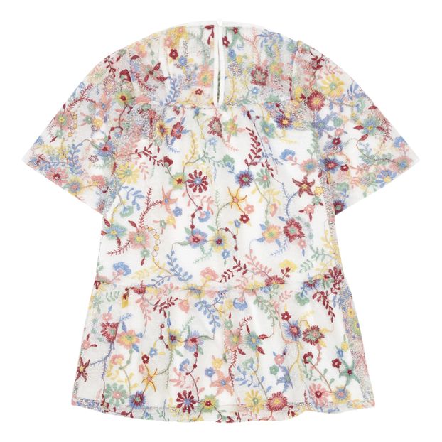 Embroidered floral dress-product