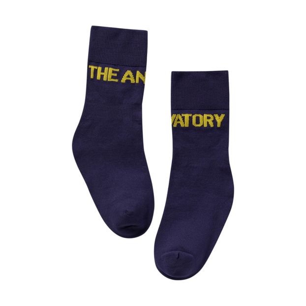 Worm Socks-product