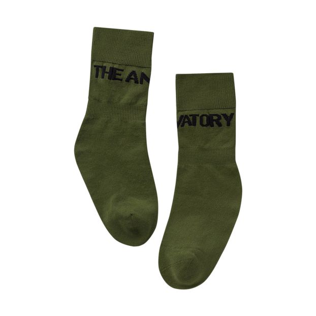 Worm Socks-product