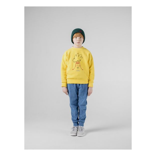Sweat Coton Bio Volcan-product