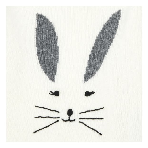 Pull Lapin-product