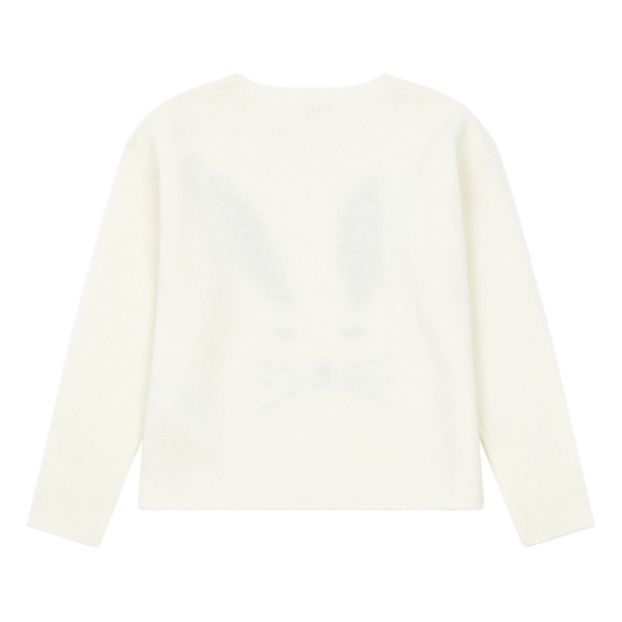 Pull Lapin-product