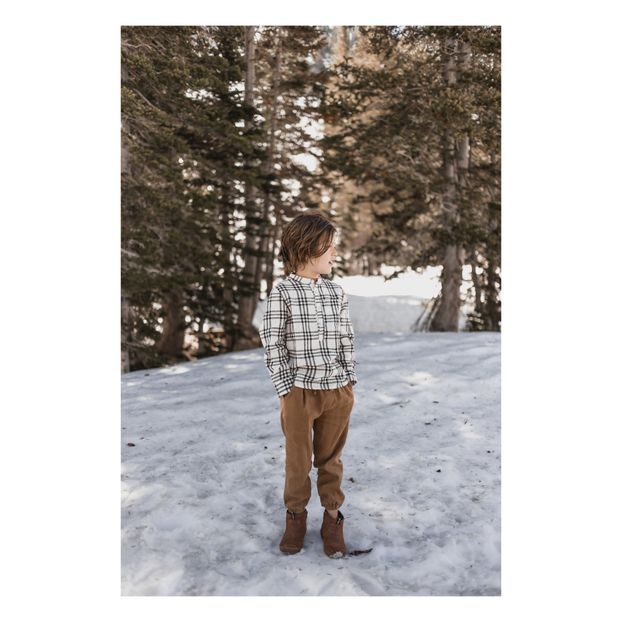 Camisa Check Mason Lino-product