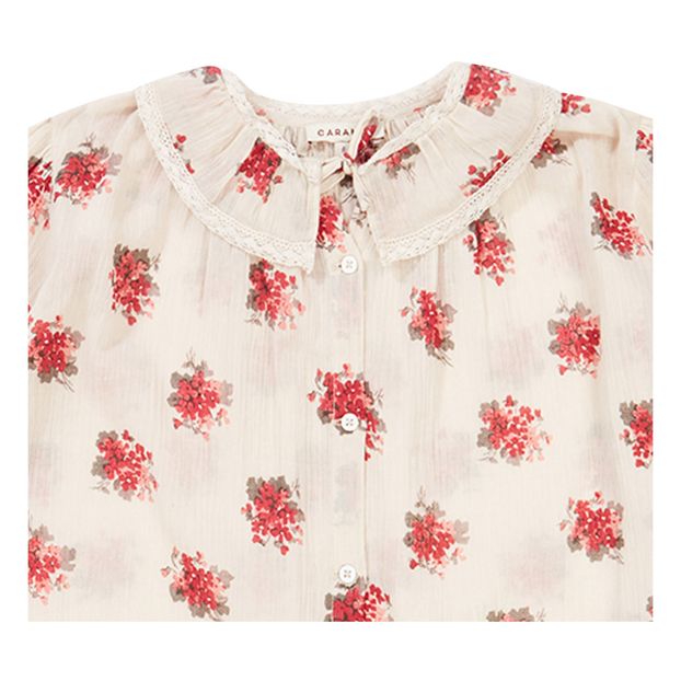 Adikia Blouse-product
