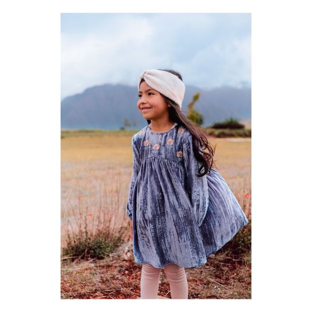 Chachani Velvet Dress-product