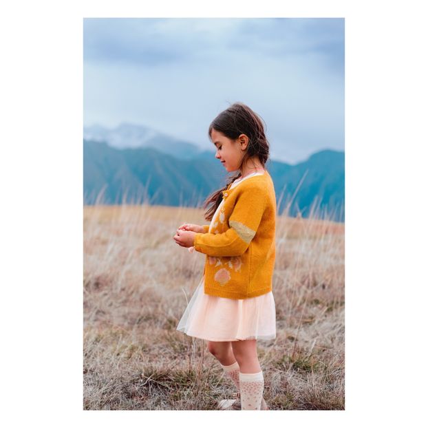 Cardigan Pacolia-product