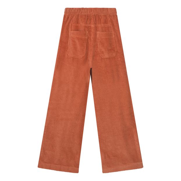 Pantalón Terciopelo Beatriz - Colección Mujer --product