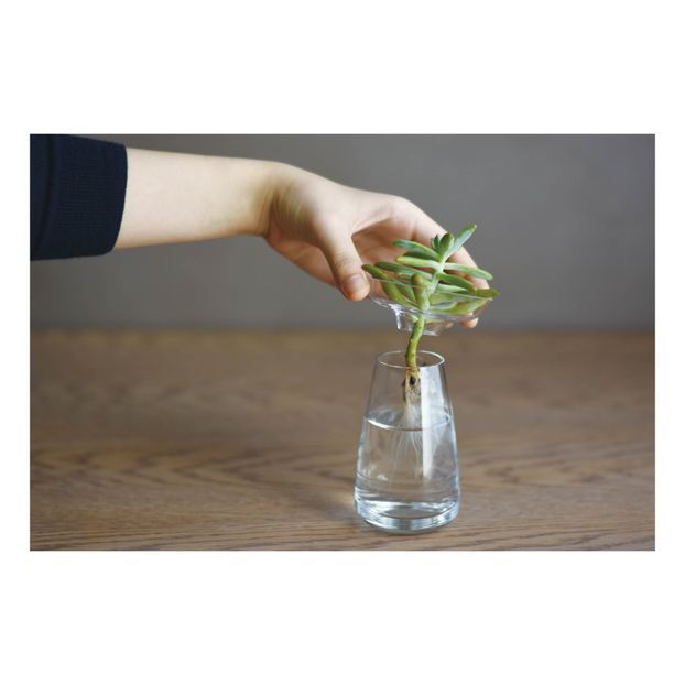 Aquaculture Glass Vase-product