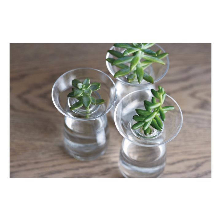 Vase en verre Aquaculture | Transparent- Image produit n°3