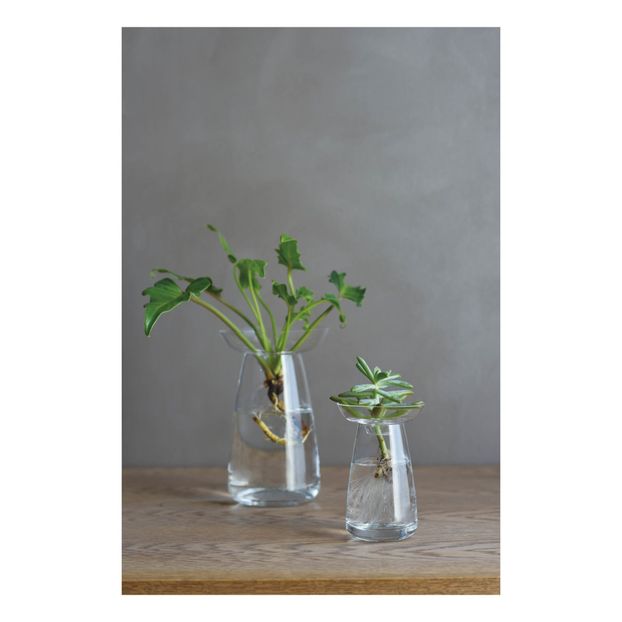Vase en verre Aquaculture-product