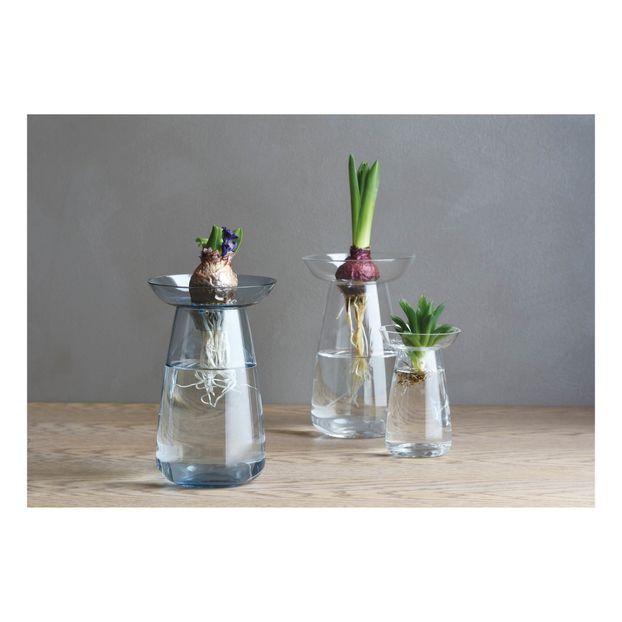 Vase en verre Aquaculture-product