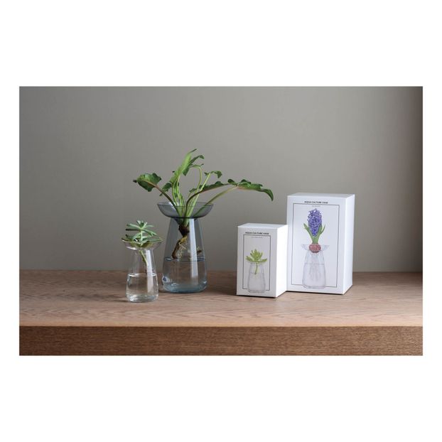 Vase en verre Aquaculture-product