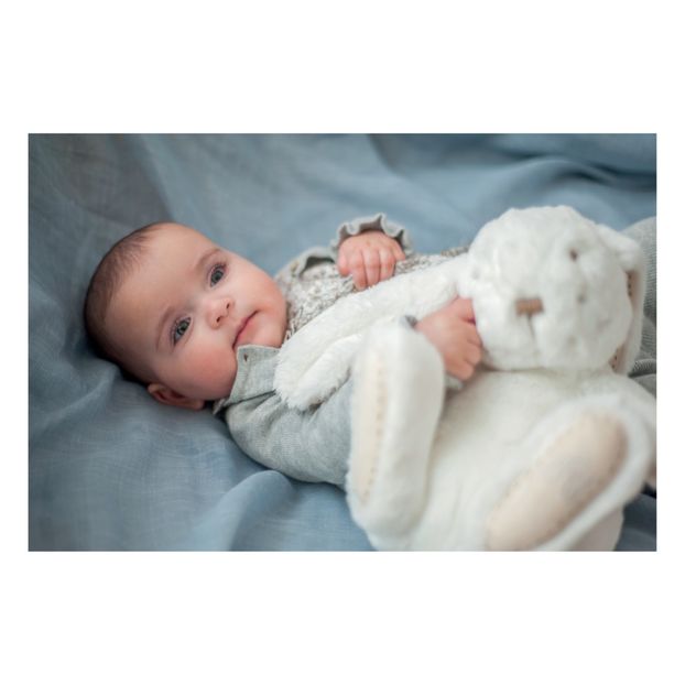 Peluche Constant le lapin-product