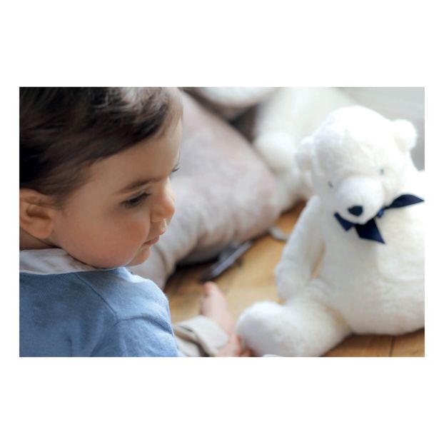 Jean Teddy Bear-product