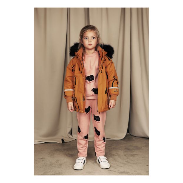 Sweat Guinea Pig Coton Bio-product