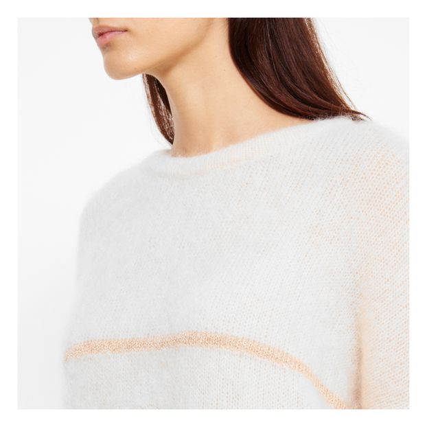 Pull Kid Mohair Danisette-product