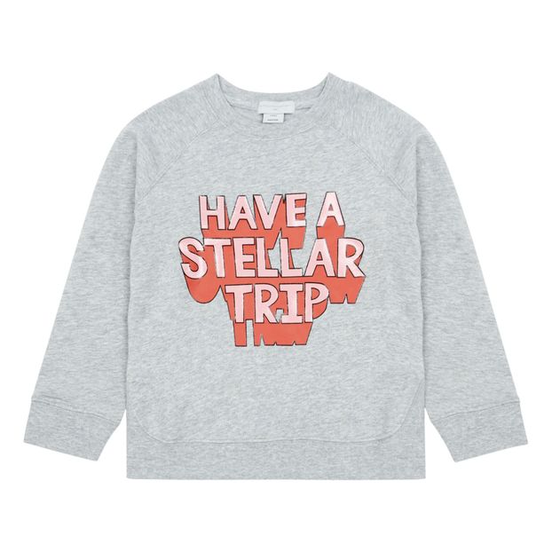 Sudadera Algodón Orgánico Stellar-product