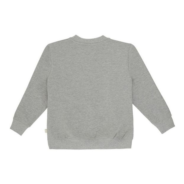 Sudadera de algodón orgánico Walker-product