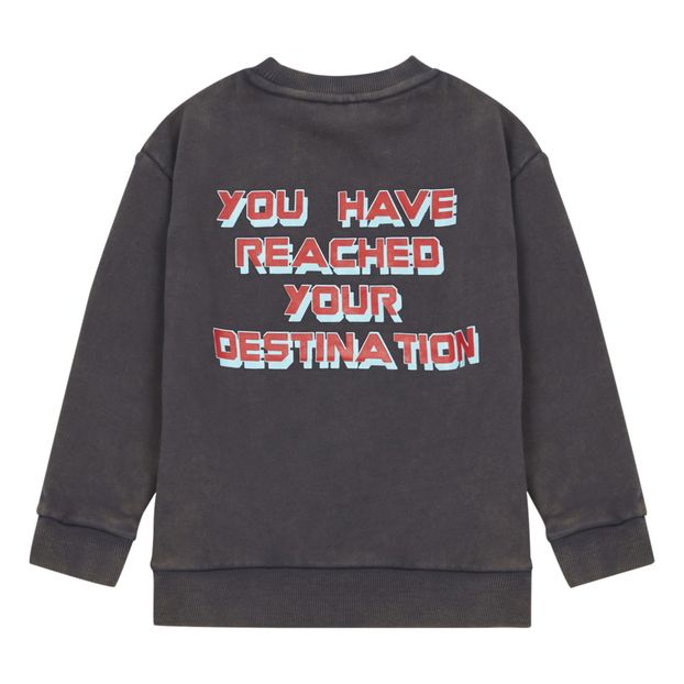 Sweat Coton Bio Espace-product