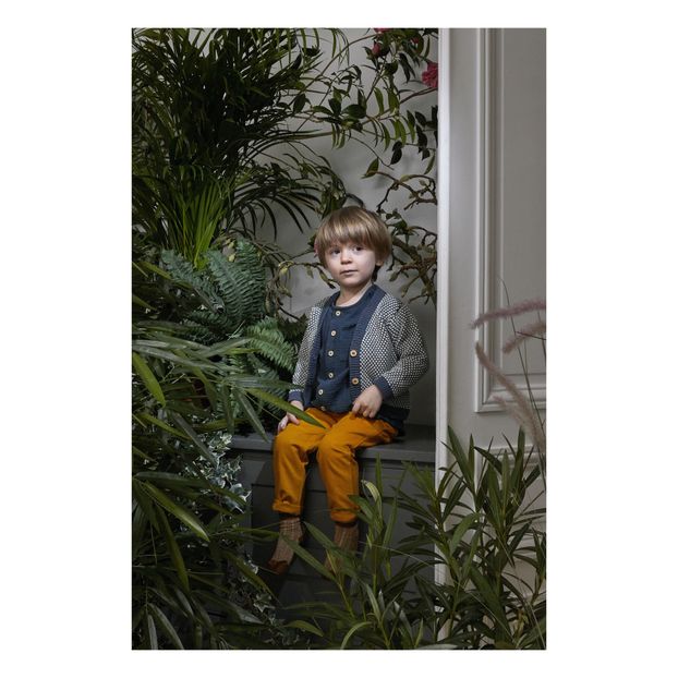 Cardigan Ferdinand-product