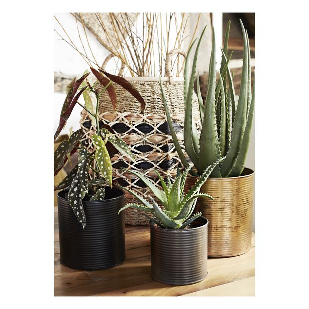 Pots en fer - Set de 3-product