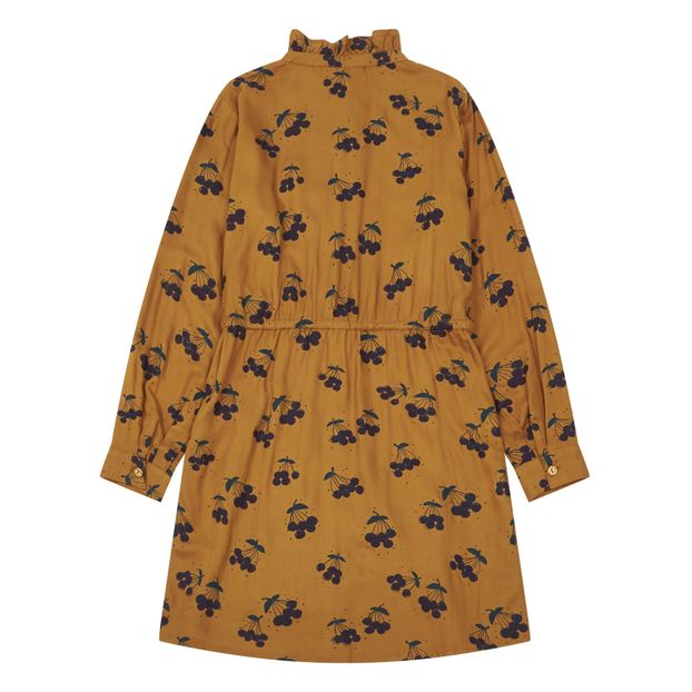 Robe Electa-product