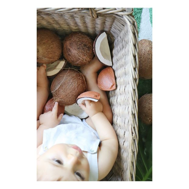 Coco la noce di coco di Dentizione-product