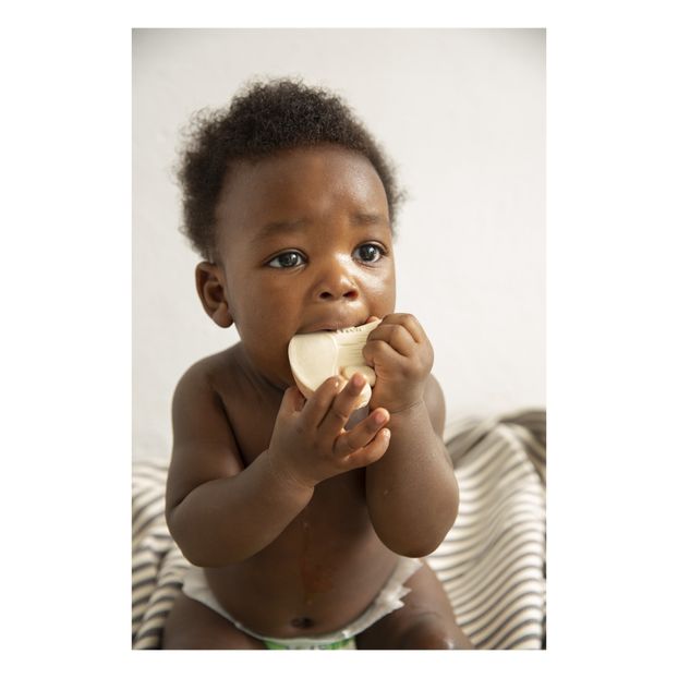 Manolo le champignon de dentition-product