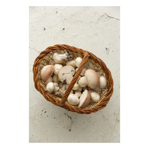 Manolo le champignon de dentition-product