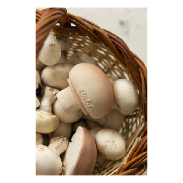 Manolo le champignon de dentition-product