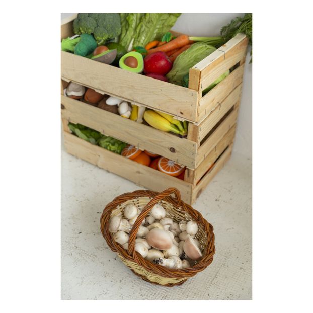 Manolo le champignon de dentition-product